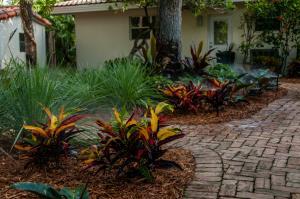 STOPLIGHT CROTONS